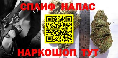 сатива Брянск
