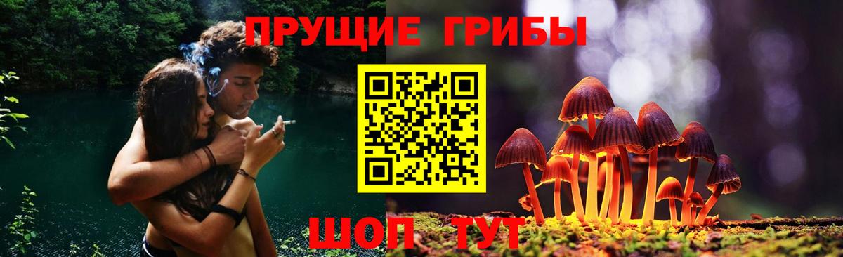 Псилоцибиновые грибы мухоморы  Псилоцибиновые грибы MAGIC MUSHROOMS  Мирный  Вход с VPN 